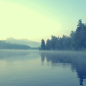 非洲性❌❌❌❌狂欢
